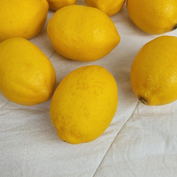 Lot Of 8 Faux Yellow Lemons Approximately 3 x 2 Each Home Decor Staging Color - Picture 5 of 7